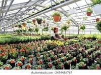 Plant nursery, Horticulturists image